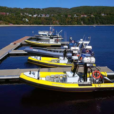 AML Cruises Tadoussac